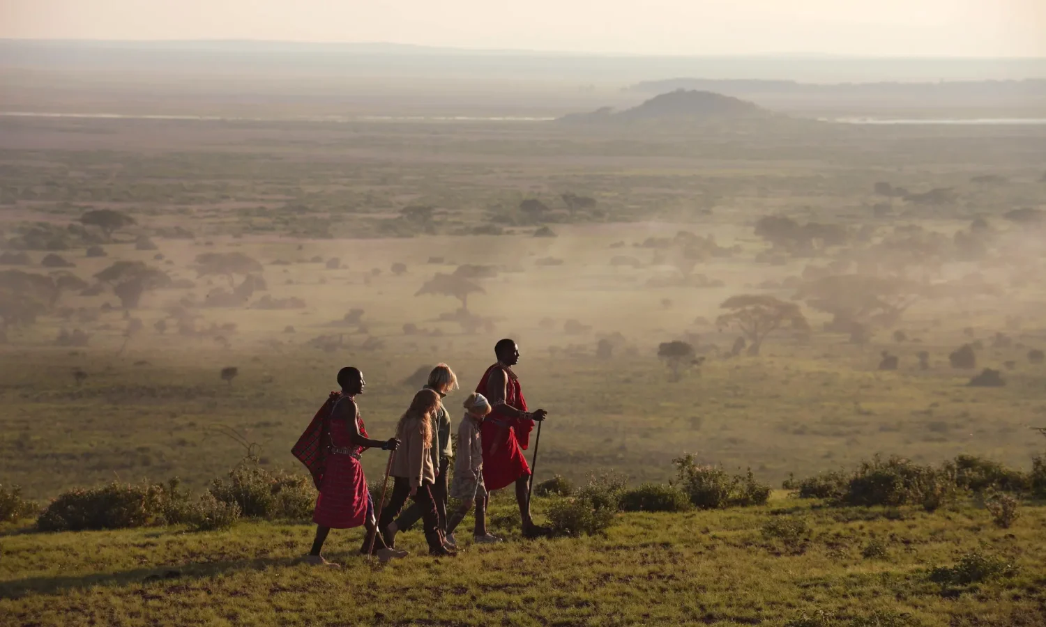 Tanzania Safari Experiences