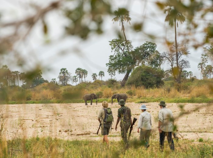 WALKING TOUR TARANGIRE