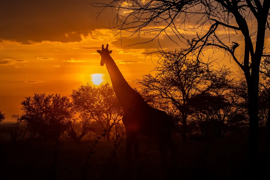 sunset photographic tour